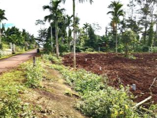 Bán đất buôn jung eaktur cư kuin, 5x25m, full thổ cư, giá 800 triệu