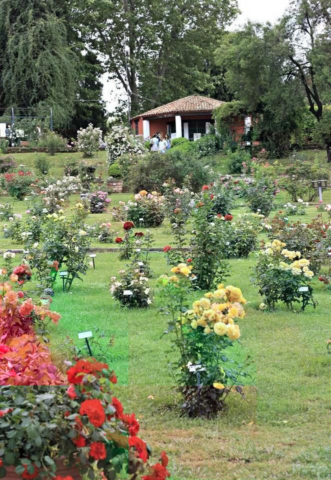 Bán khách sạn mặt phố trần phú, ngô quyền, hải phòng  300 m2  9 tầng.
