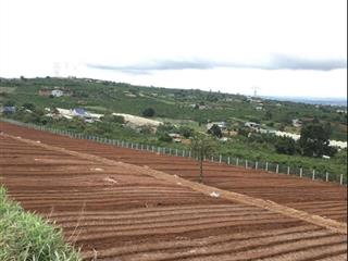 Đất mặt tiền 60m lâm hà 19.556m2, sẵn 4.000m2 thổ cư, gần chợ, ubnd