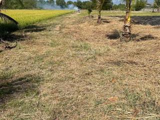 Chính chủ cần bán đất dt rất lớn khu 14ha liên canh liên cư và nhiều đất khác. pháp lý rõ ràng