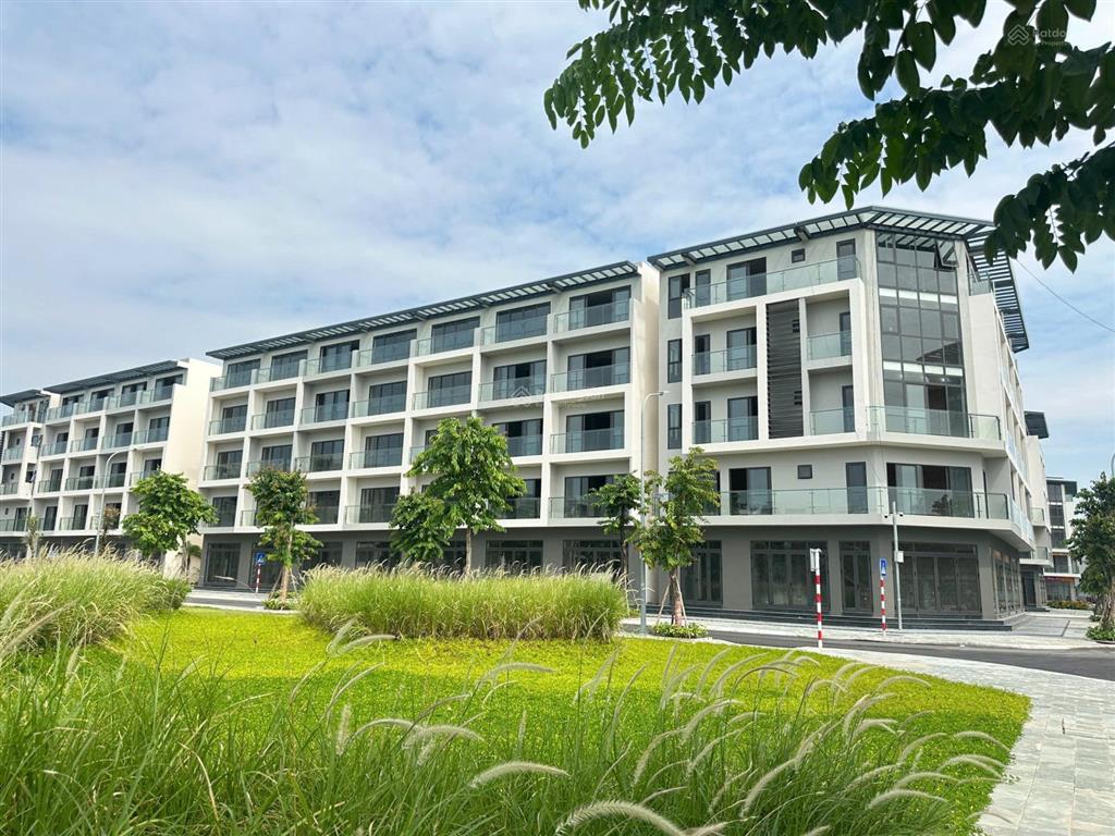 Nhà đang dính quy hoạch? đừng đợi tới lúc bị thu hồi mới cuống cuồng tìm nhà