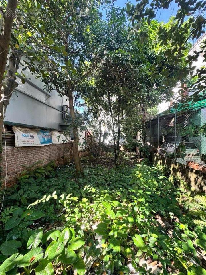 Bán đất phú thượng  tây hồ 100m² mặt tiền 6.4m ô tô tránh ciputra giá 23.7 tỷ