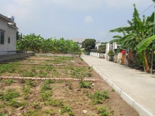 Chỉ từ 590 triệu, đường thông, đón sóng kcn tràng duệ 3, tại bát trang, an lão, hải phòng
