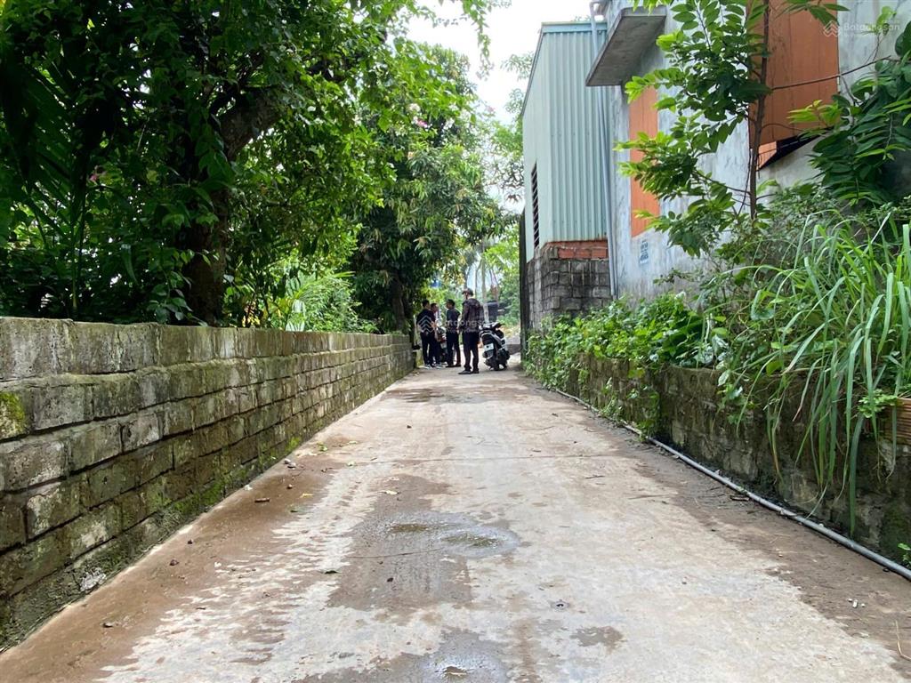 Thời điểm vàng săn đất giá tốt  lại có nhiều sự lựa chọn