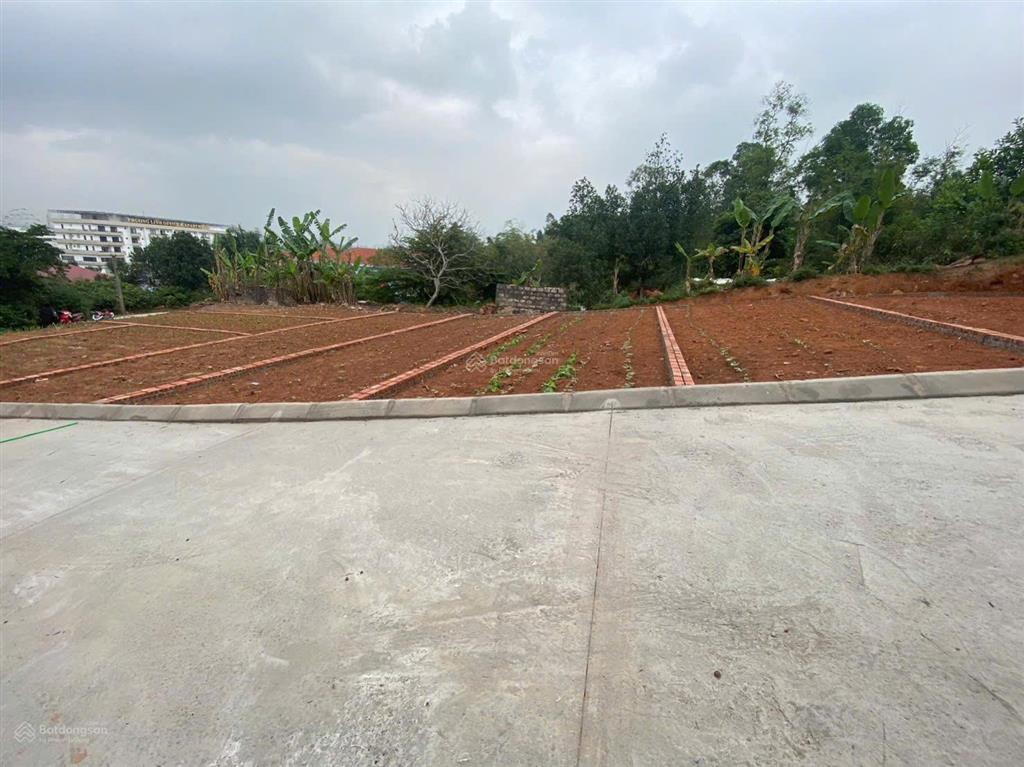 Cực sâu 6xx  cách ql 10 chỉ 50m, gần bệnh viện đa khoa quốc tế tại đông sơn thuỷ nguyên