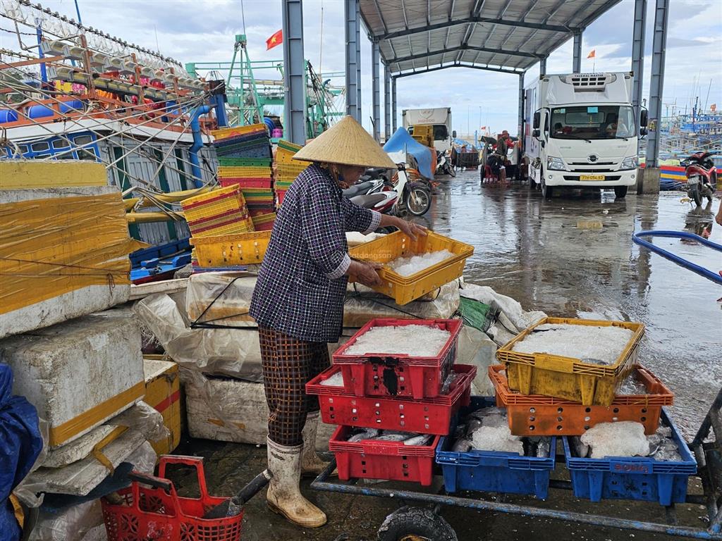Chính chủ cần bán đất thổ cư ngãi an cát khánh  đề gi  gia lai