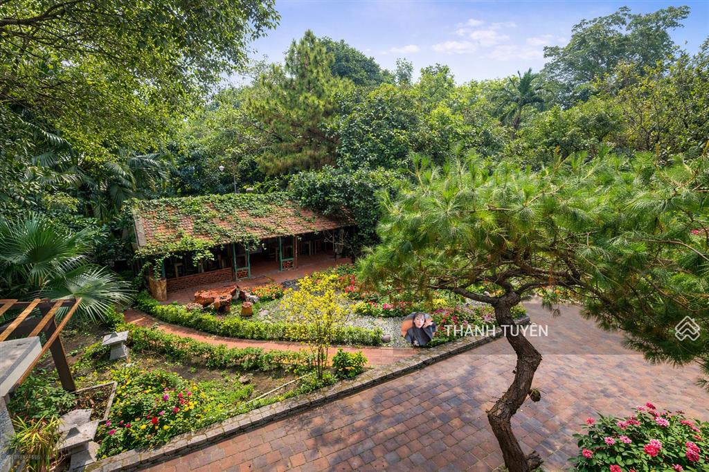 Biệt phủ 2000m2, chỉ 8x tỷ
quan tâm e tư vấn thêm ạ