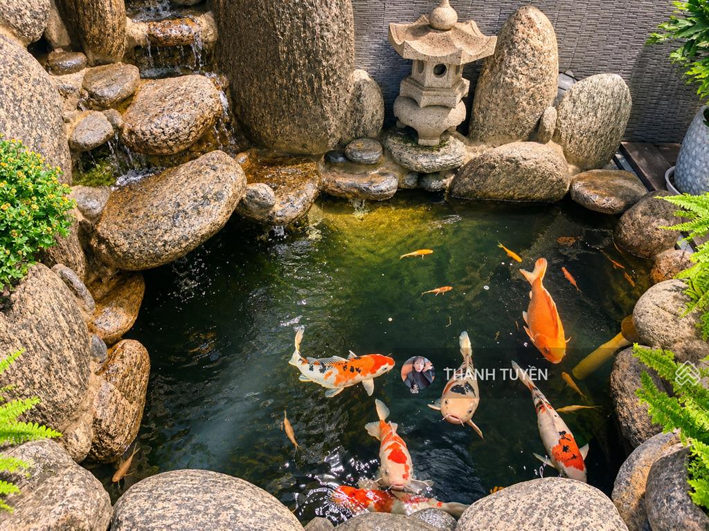 Cần thanh khoản gấp nhà ba đình ô tô vào tận cửa 85m2 mặt tiền 5.6m 29.98 tỷ