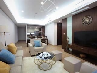 Bán căn hộ chung cư dolphin plaza, giá ưu đãi 11,2 tỷ, 144m2, 2pn, 3wc tại trần bình, nam từ liêm