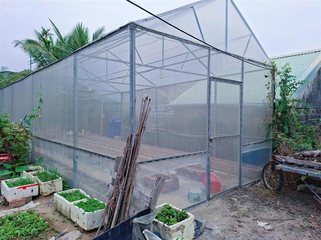 Chính chủ bán 60m² đất ở thiên hương, gần kcn nam cầu kiền. ở và đầu tư cho thuê. giá chỉ 1,080 tỷ