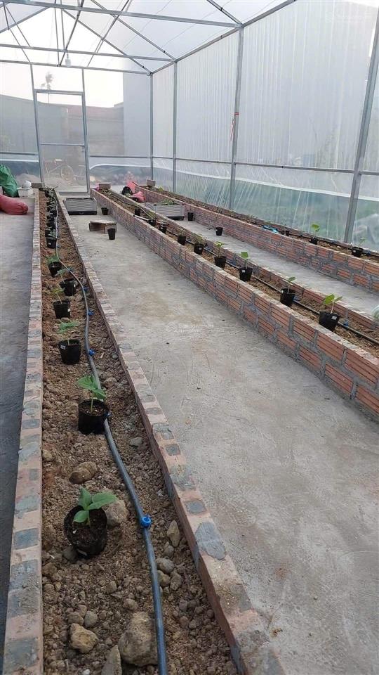 Chính chủ bán 60m² đất ở thiên hương, gần kcn nam cầu kiền. ở và đầu tư cho thuê. giá chỉ 1,080 tỷ