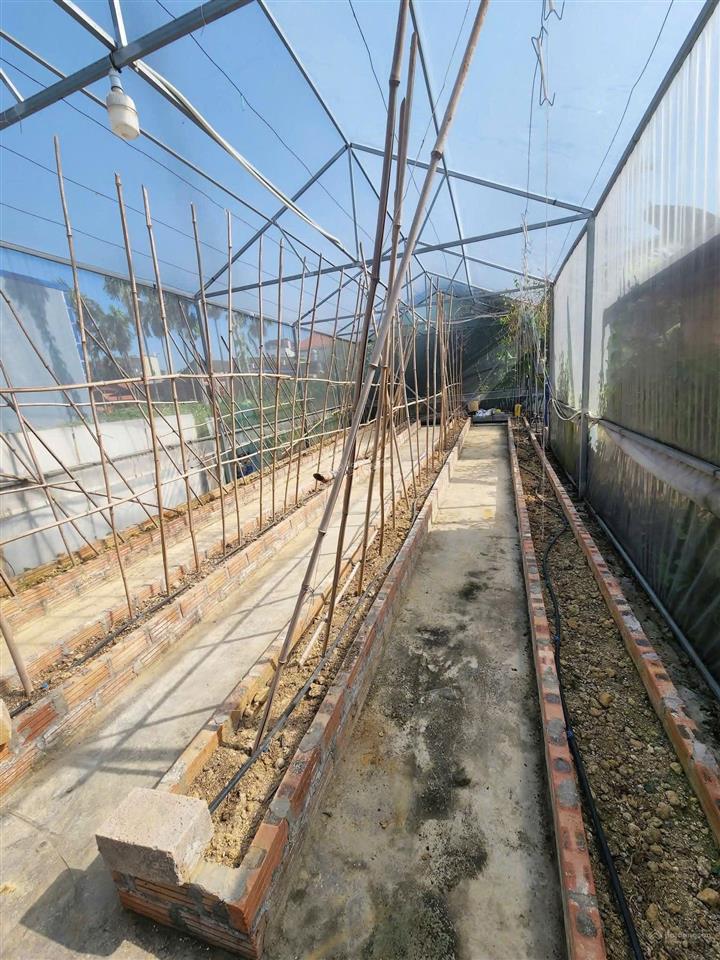 Chính chủ bán 60m² đất ở thiên hương, gần kcn nam cầu kiền. ở và đầu tư cho thuê. giá chỉ 1,080 tỷ
