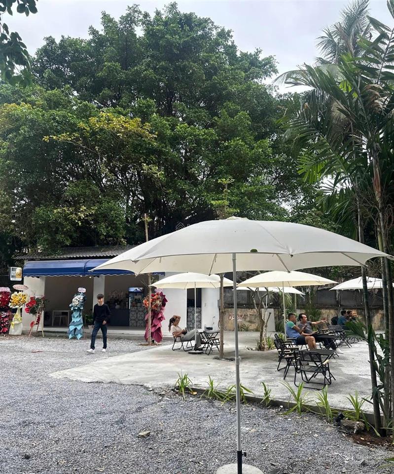 Bán đất đường nội bộ quốc hương, phường thảo điền gần ga metro dt 3000m2 giá 1200 tỷ