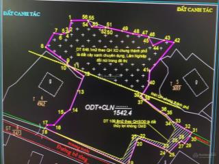 Quỹ đất vàng hiếm 1542m2 chào 38 tỷ tuần châu, dành riêng cho nhà đầu tư lớn đón sóng hạ long xanh