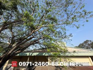 Nhà bán hxh 275 quang trung, nhà 2 tầng  100m ra mt  sd 42m2 nở hậu  ngang 3,1m  hẻm  3,2tỷ