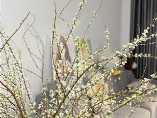 Cách mt 30m ngay đh hồng bàng  hàng xóm q1  q2 | ~70m2 ngang 5m | chỉ 7.95t tl