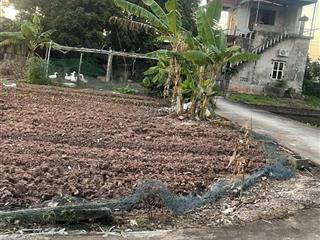 Bán đất thái thọ thái thụy thái bình dt  179m2 gía 520 triệu