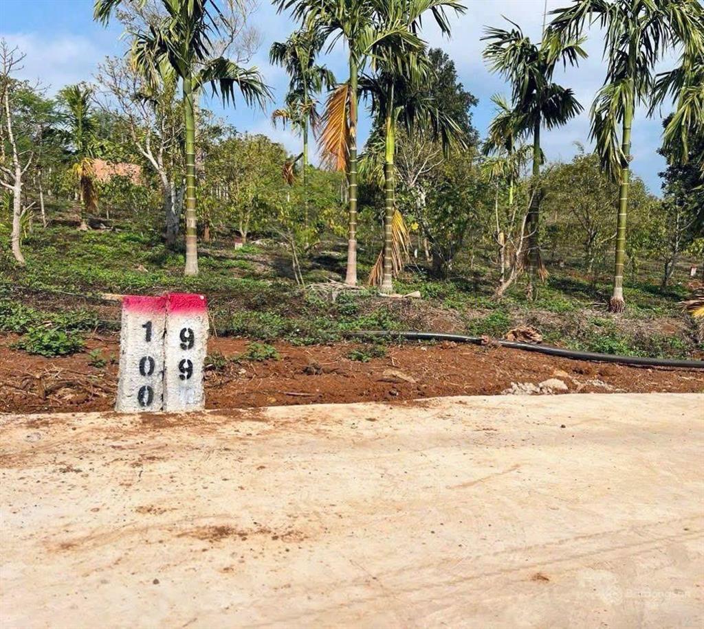 Bán đất phú xuân krông năng, đắk lắk
diện tích 175m có 60m đất ở
đường đất, vị trí