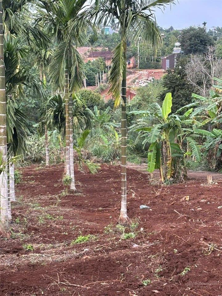 Bán đất phú xuân krông năng, đắk lắk
diện tích 175m có 60m đất ở
đường đất, vị trí