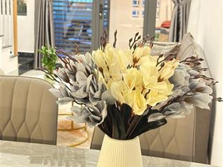 Nhà 2 tầng đinh thị hòa sẵn dòng tiền 14tr/tháng