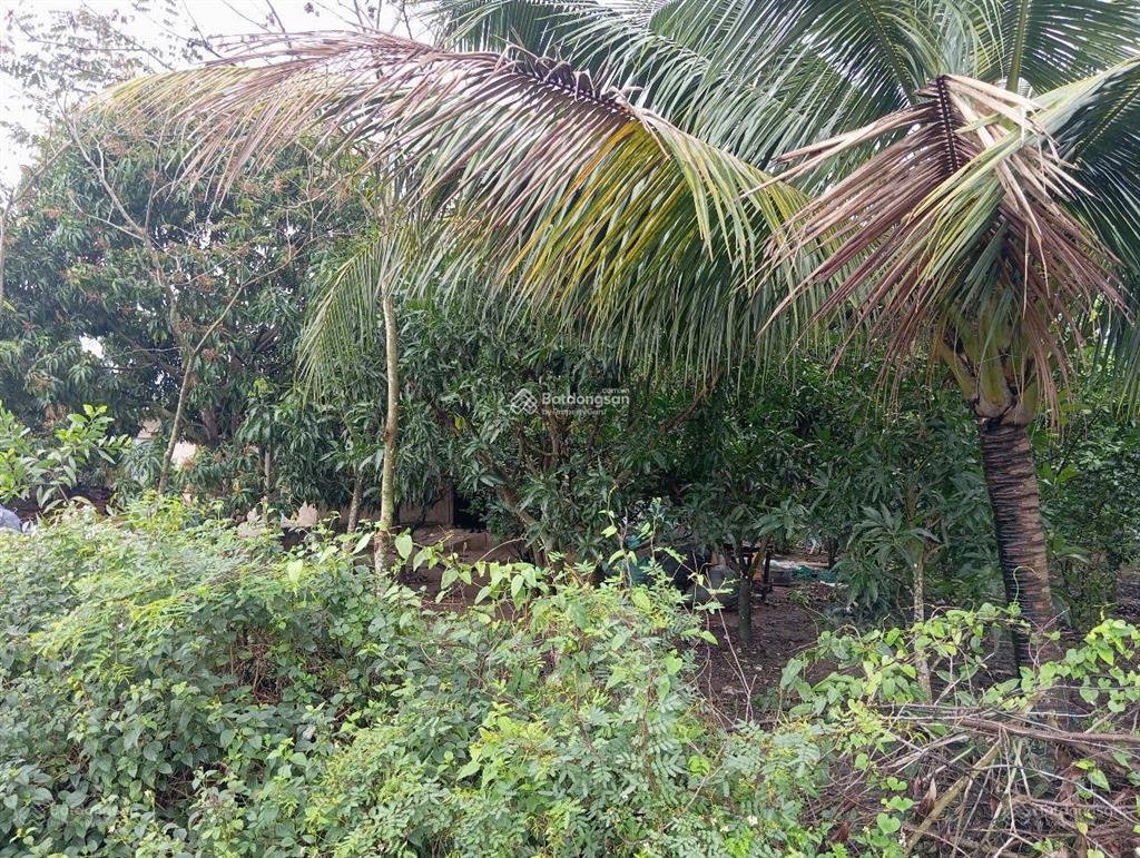 Bán đất thôn xuân thọ đường đất 3m,107m đất ở, ngang 5m, chỉ 510 triệu mức giá hiếm khu xuân sơn