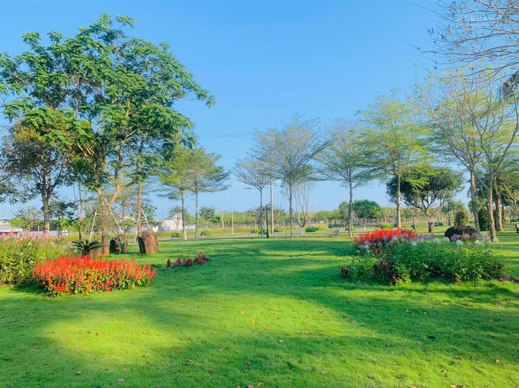 Khu dịch vụ hỗn hợp vsip quảng ngãi  nơi dòng tiền cho thuê bền vững giá chỉ 9,1 triệu /m2