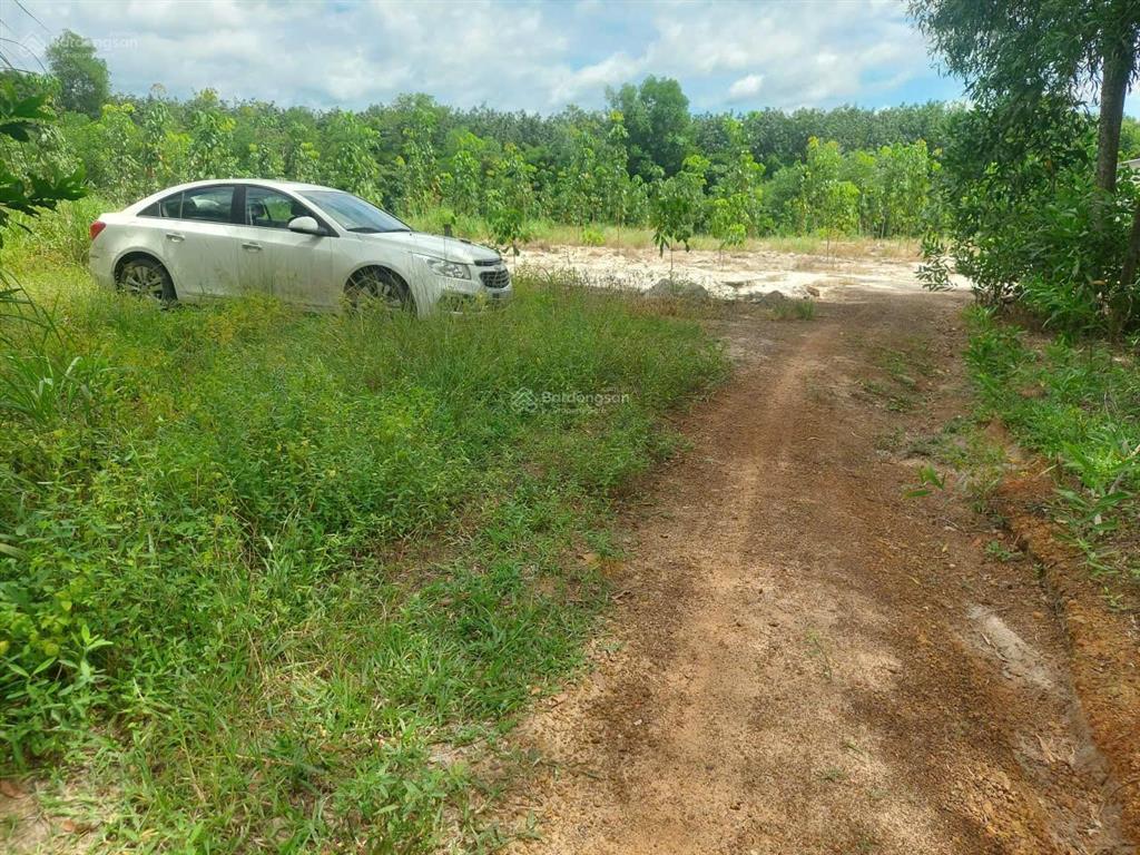 Bán đất tại định an, dầu tiếng, bình dương, 7,5 tỷ, 7000 m2, có sẵn 100m2 đất ở, giá tốt