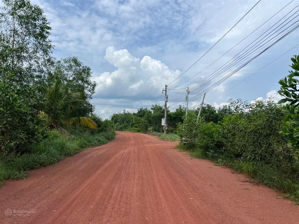 Bán đất nền dự án tại xã long hòa, huyện dầu tiếng, bình dương, giá 3,5 tỷ, 2500 m2