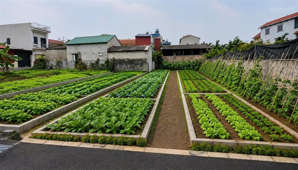 Bán 206m² đất ont cạnh sân golf khoái châu hưng yên giá 20tr/m² (rẻ hơn tt 40%) cc 0888 914 ***