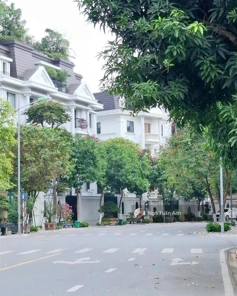Em tuấn anh bán biệt thự song lập 5 tầng hướng đông bắc giá chỉ hơn 100 triệu/m2