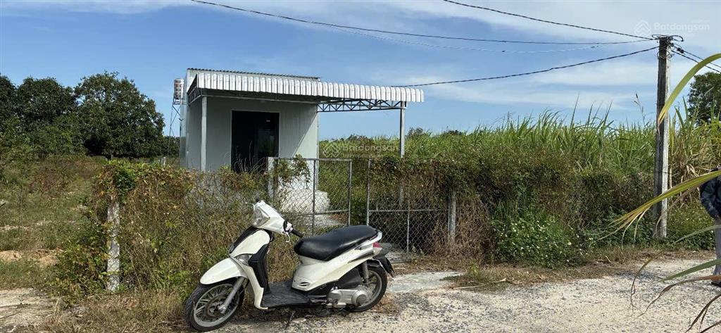 Chính chủ bán đất kèm nhà tổng diện tích 341,6m2 vuông. có 300m2 thổ cư, nhà cấp 4