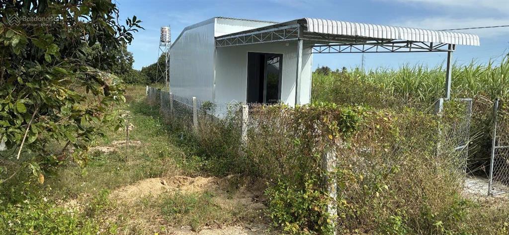Chính chủ bán đất kèm nhà tổng diện tích 341,6m2 vuông. có 300m2 thổ cư, nhà cấp 4
