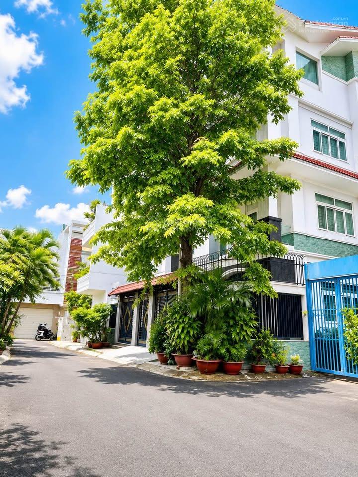 Lô góc gò dầu view công viên đường 8m thông 4 tầng 74m ngang 4.5 chỉ 11 tỷ