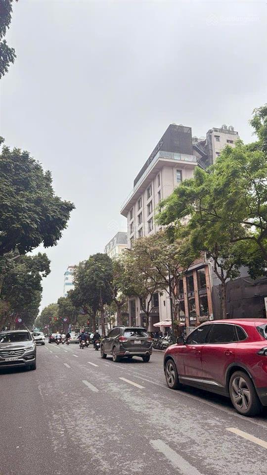 Mp vip cửa nam trần hưng đạo dt 48.5 m x 4 tầng x mt 5 m x chỉ 50 tỷ