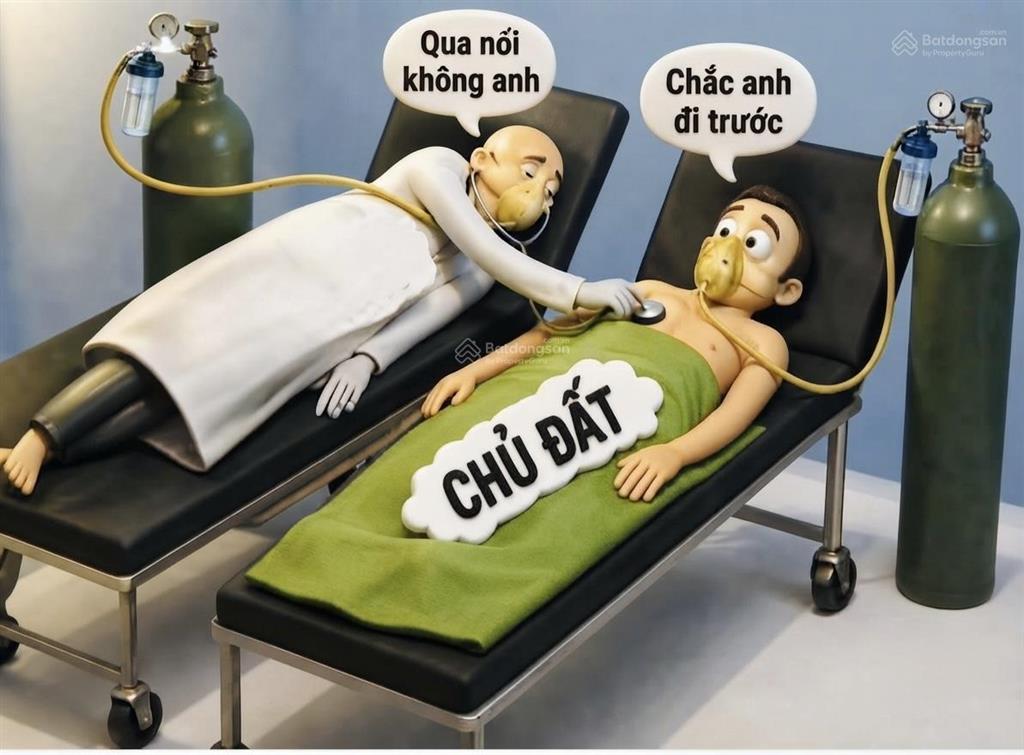 Chủ thở oxy giai đoạn cuối siêu phẩm đầu tư đất chiến lược bình tân  80m2  chỉ 4.45 tỉ