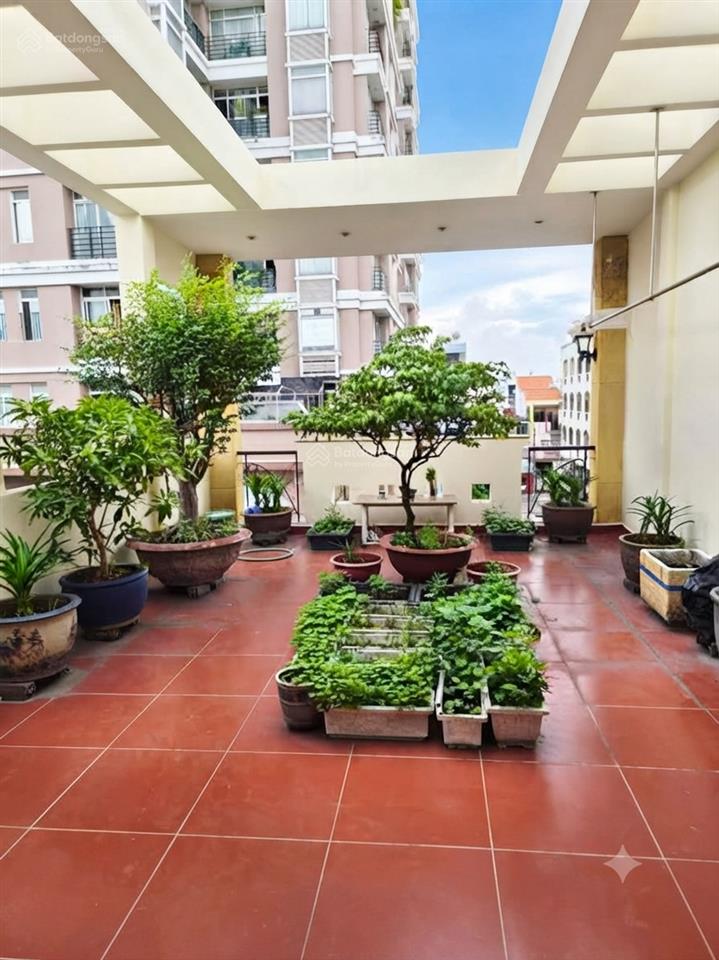 Phố lý thường kiệt đường kinh doanh víp tân bình 120m2 4m6 x 26m 4 tầng đường 24m chỉ hơn 24đ tl