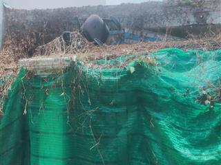 Bán đất 2056 huỳnh tấn phát, nhà bè, 3,55 tỷ, 57 m2, tiện ích đầy đủ