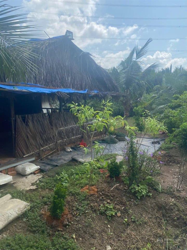 Bán đất đẹp tại nguyễn hữu thọ, long thới, nhà bè, 16 tỷ, 500m2