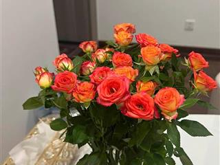 Bán cc 28,7m2 tại masteri west heights toà b, giá cực chất 3,115 tỷ bao phí .tuấn 0392 969 ***