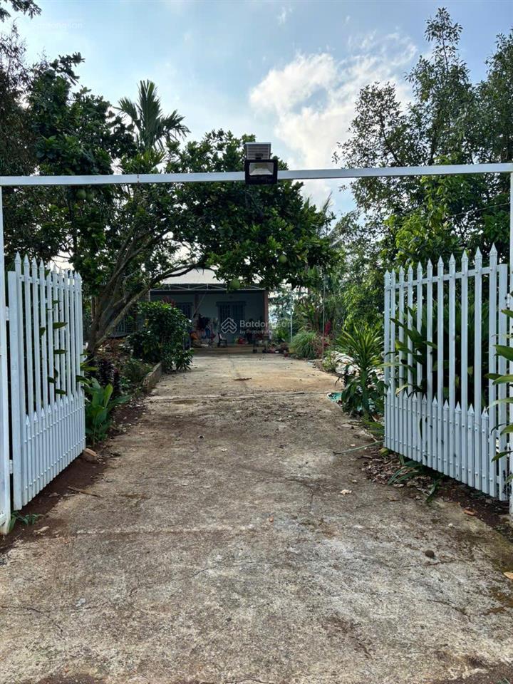 Bán 1000m2 đất tặng nhà cấp 4.
