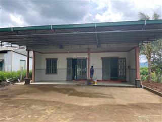 Bán 1000m2 đất tặng nhà cấp 4.
