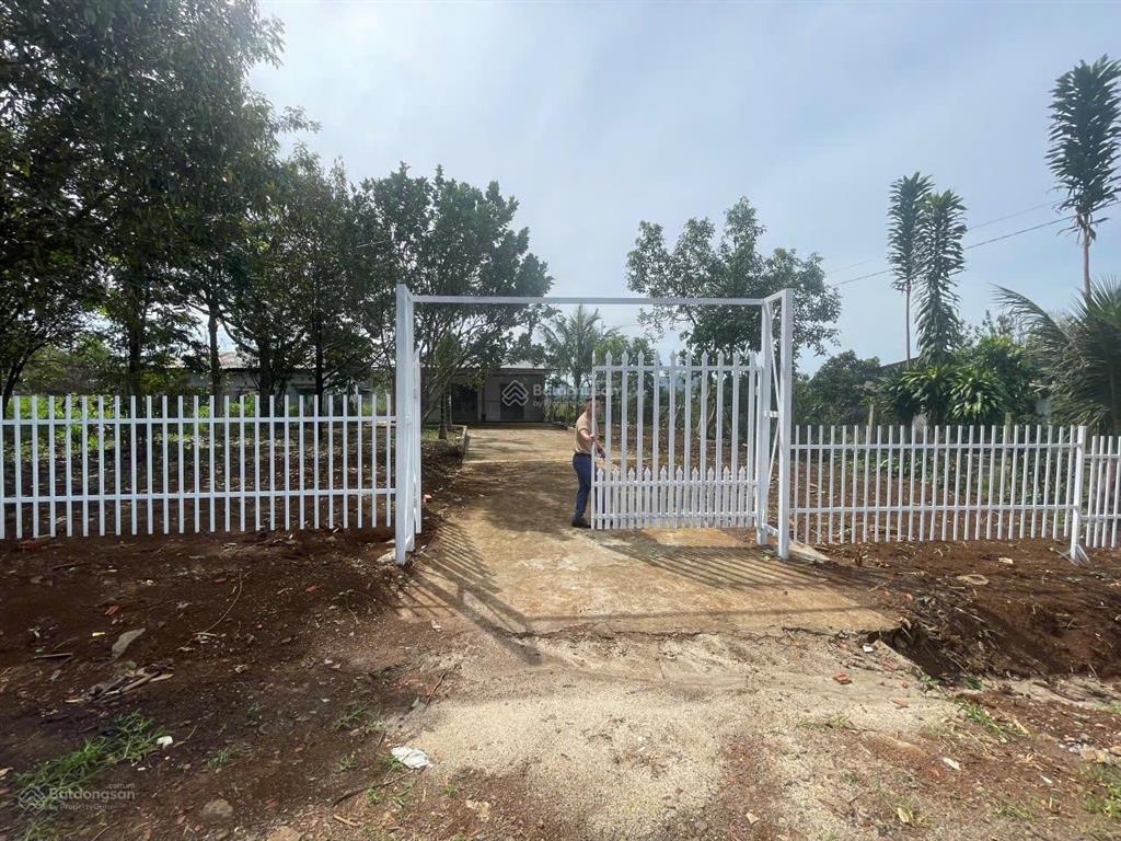 Bán 1000m2 đất tặng nhà cấp 4.