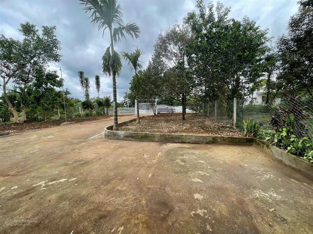 Bán 1000m2 đất tặng nhà cấp 4.