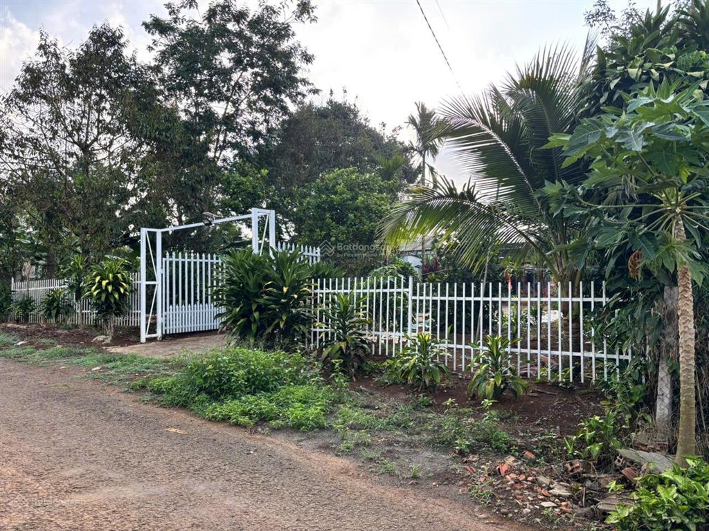 Bán 1000m2 đất tặng nhà cấp 4.