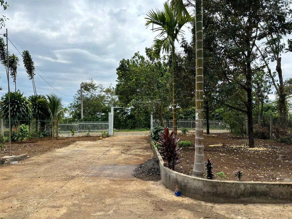 Bán 1000m2 đất tặng nhà cấp 4.