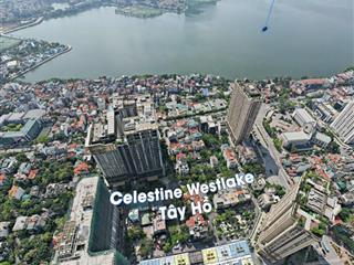 Đón sóng cất nóc chính thức celestine westlake! chốt ngay trước khi bảng hàng cũ bị thu hồi