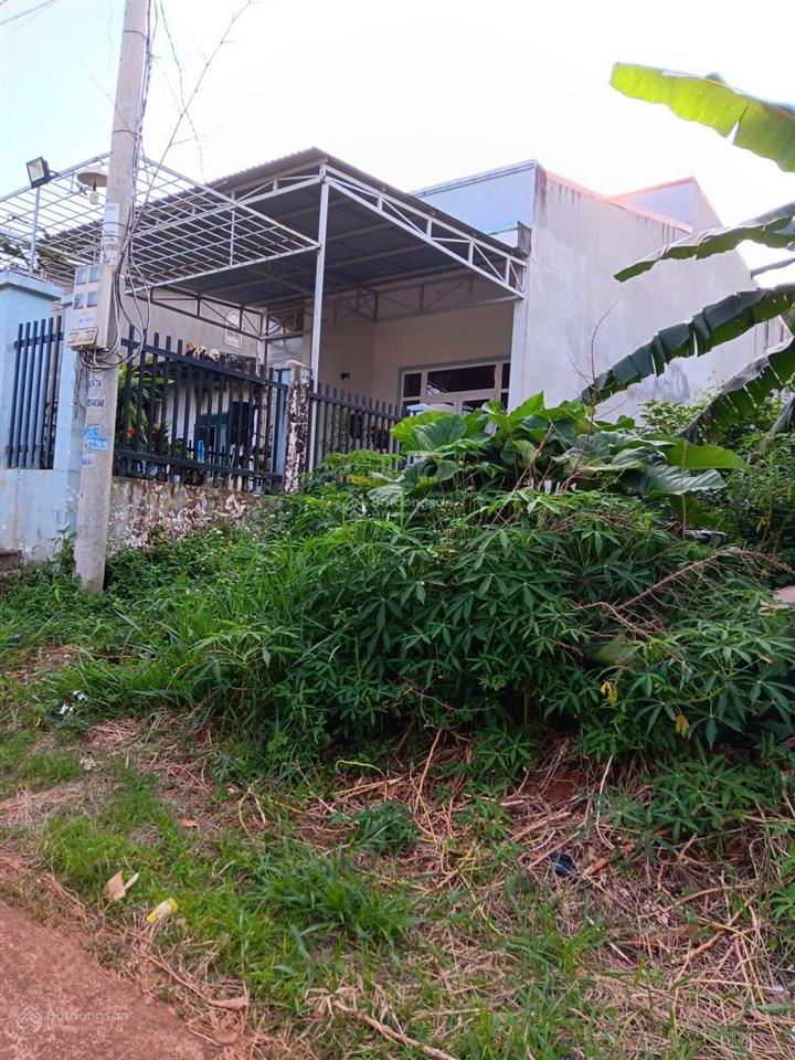 Chính chủ bán đất thổ cư tổ dân phố 2,phường nghĩa tân,tp.gia nghĩa.10m x 35m. giá 2 tỷ