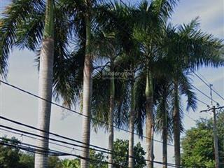 Bán đất mặt tiền phố bàu lách, 2 tỷ, 266 m2, hàng hiếm tại uy tín, chủ cần bán gấp để về quê