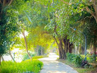 Bán biệt thự đơn lập vườn tùng view cluphouse, nhà mới, sổ đỏ sẵn.  0932 560 ***0