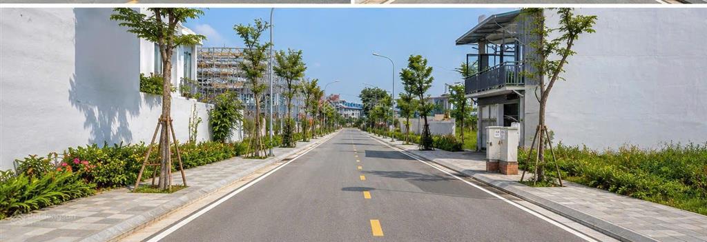 Hiếm trục chính đấu giá huỳnh cung tam hiệp, cạnh kđt linh đàm. dt 80m2 mt 6m giá 15.8 tỷ.